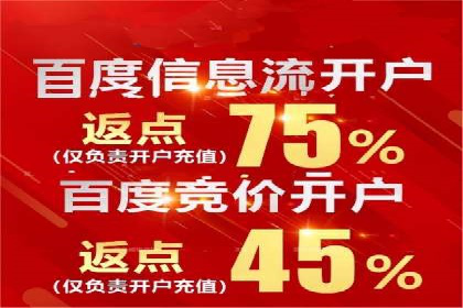 百度竞价投放技巧：行业领先企业的成功策略案例
